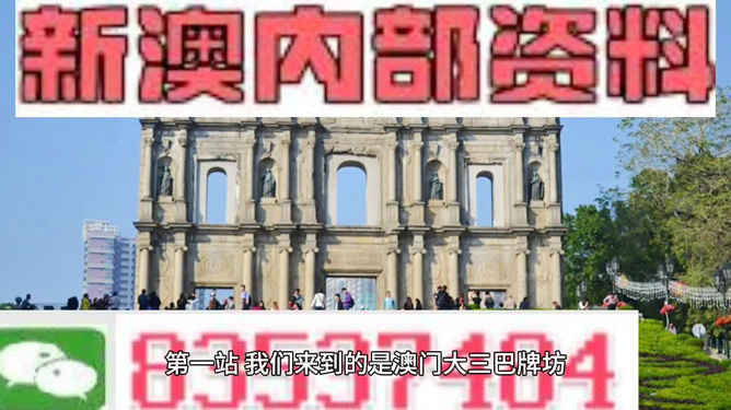 2024澳门天天彩期期精准，绝对经典解释落实_The47.77.6