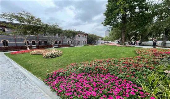 全国最新大学排名，自然美景中的探索之旅
