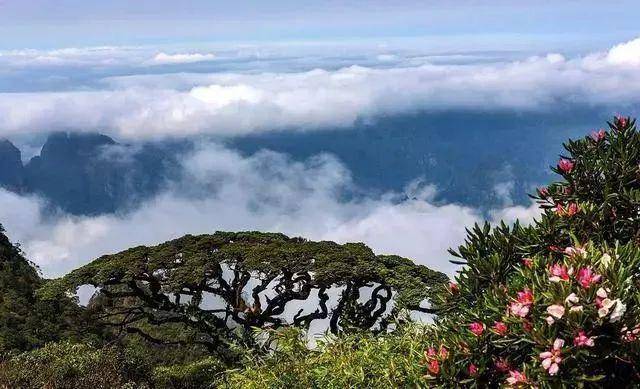 小哀最新,小哀最新之旅，探索自然美景，寻找内心的平和