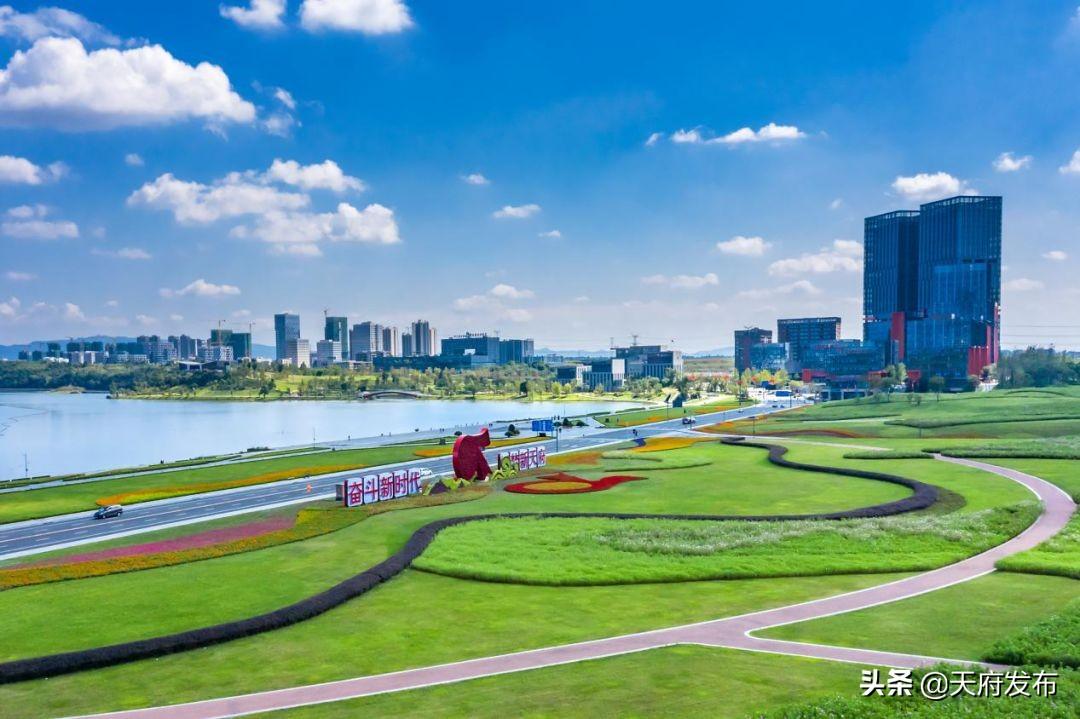 群投票最新,群投票最新，学习变化，拥抱自信与成就感的旅程