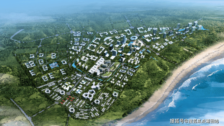 海南pd一1最新消息,海南PD一1最新消息与一段温馨的旅程