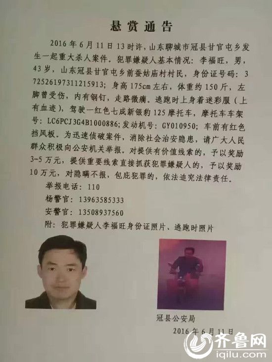 最新山东聊城杀人案,最新山东聊城杀人案，深度解析案件要点