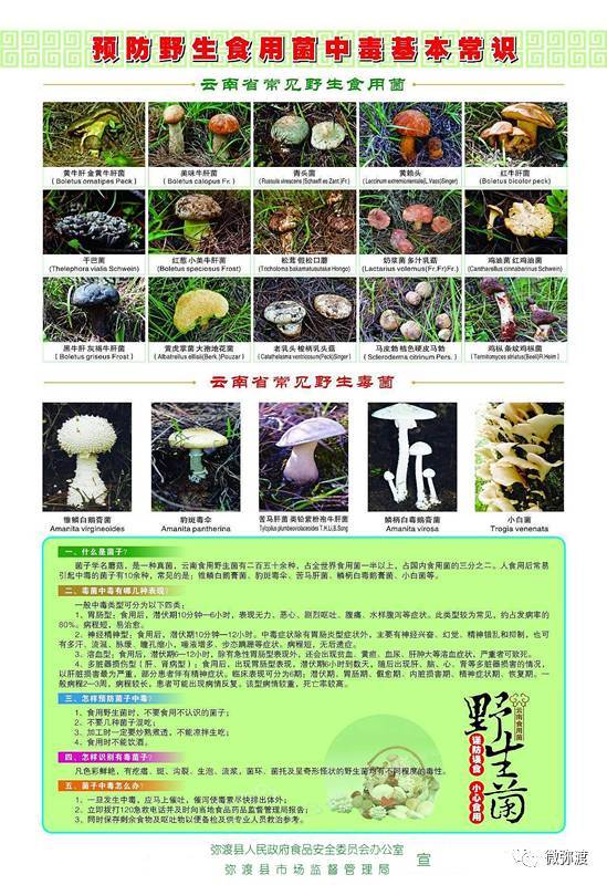 第1197页