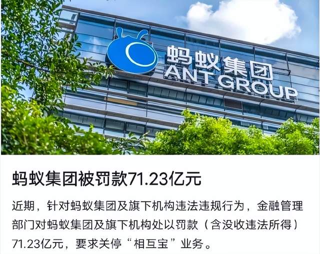 润通合作社最新动态揭秘，小巷中的惊喜宝藏！