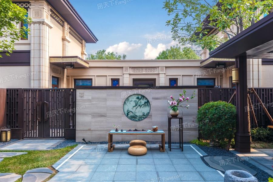 最新进展揭秘
