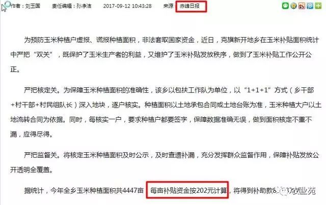 二批玉米补贴最新消息解析，观点与动态
