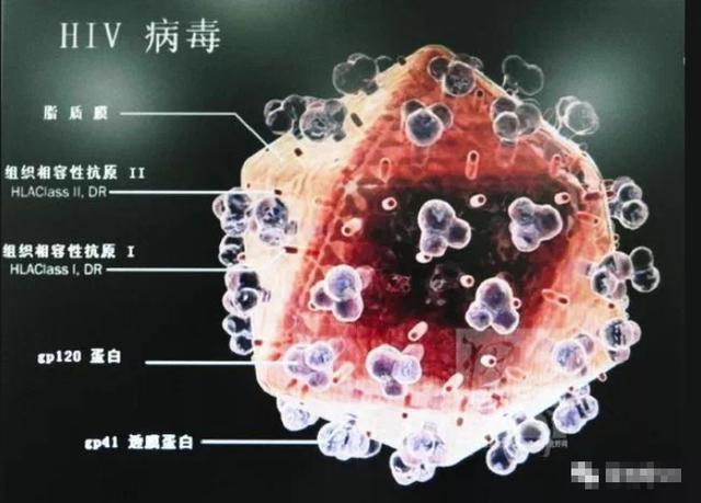 关于艾滋病的最新消息报道，揭秘艾滋病研究新进展与趋势分析（2018年）