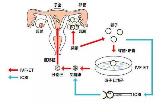 第4575页