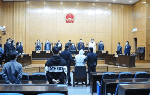 智能监管重塑家庭安全，男子捂死母亲案二审宣判，揭示家庭伦理与社会责任反思之路