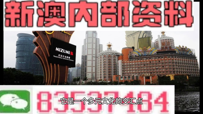 新澳2024今晚开奖资料，动态词语解释落实_VIP52.12.39