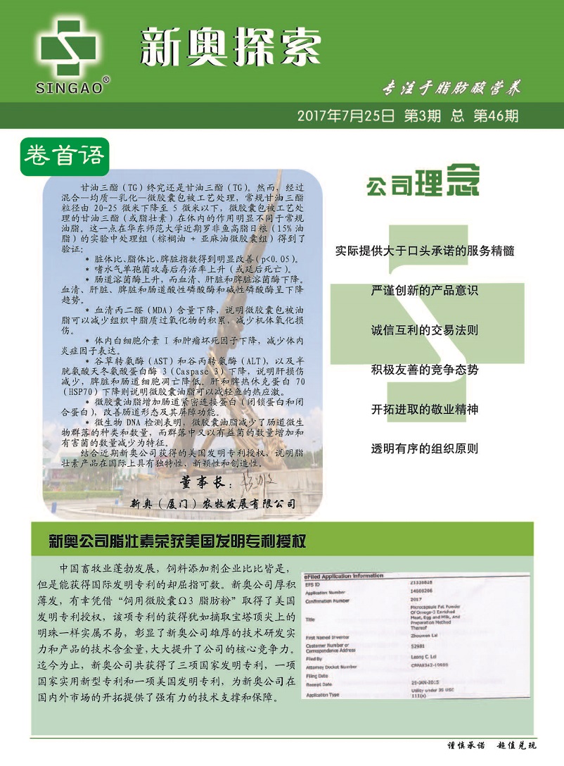 2024新奥精准正版资料，全面解答解释落实_HD46.72.42