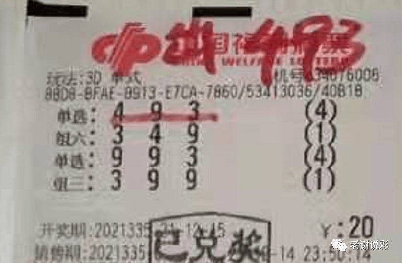 2024澳门天天彩期期精准，动态词语解释落实_3D99.31.86