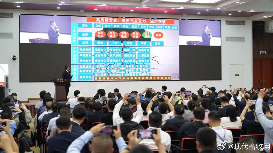 管家婆必中一肖一鸣，最新核心解答落实_iShop74.13.43