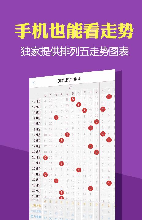 2024新澳正版免费资料大全，效率资料解释落实_iPad9.91.51