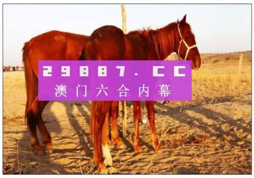 澳门六开彩天天开奖结果生肖卡，最新正品解答落实_战略版45.17.3