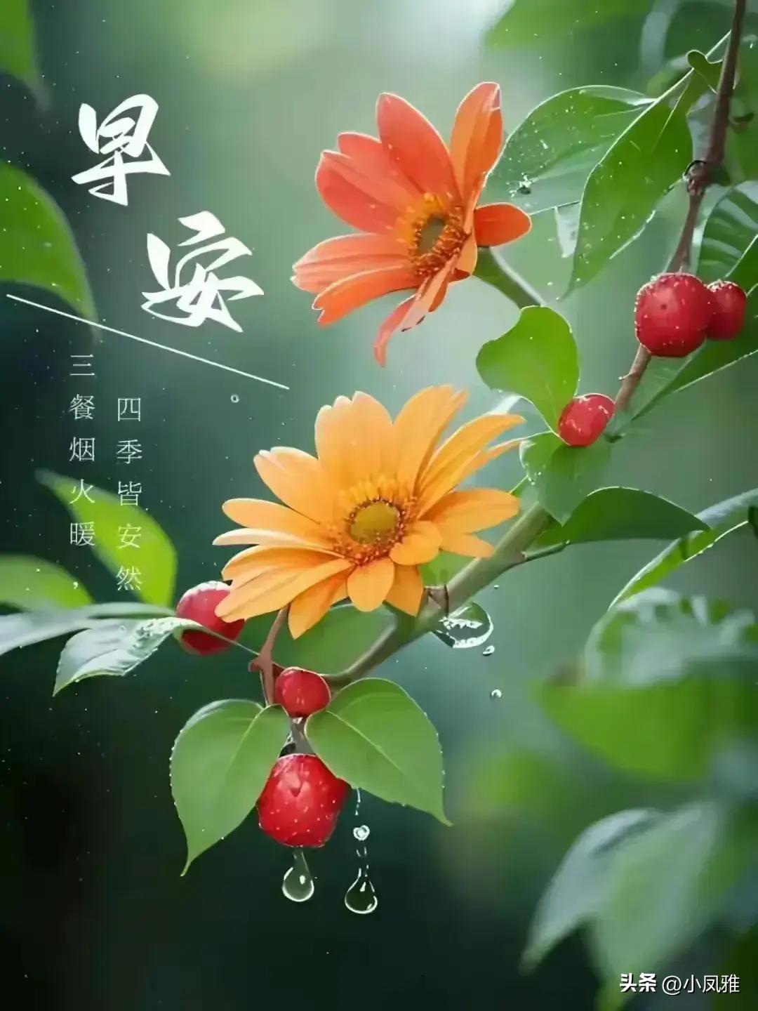2024天天彩全年免费资料，动态词语解释落实_ios19.34.47