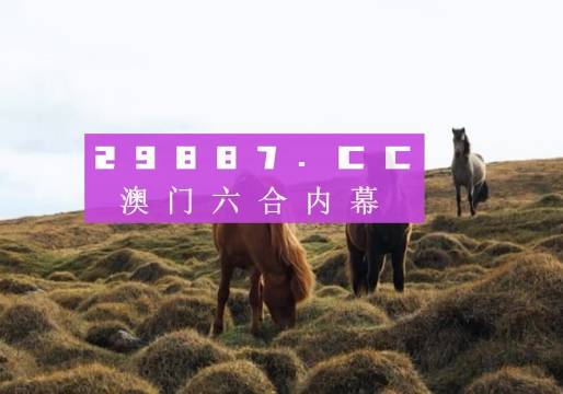 新澳门开奖记录今天开奖结果，最新答案解释落实_WP45.88.50