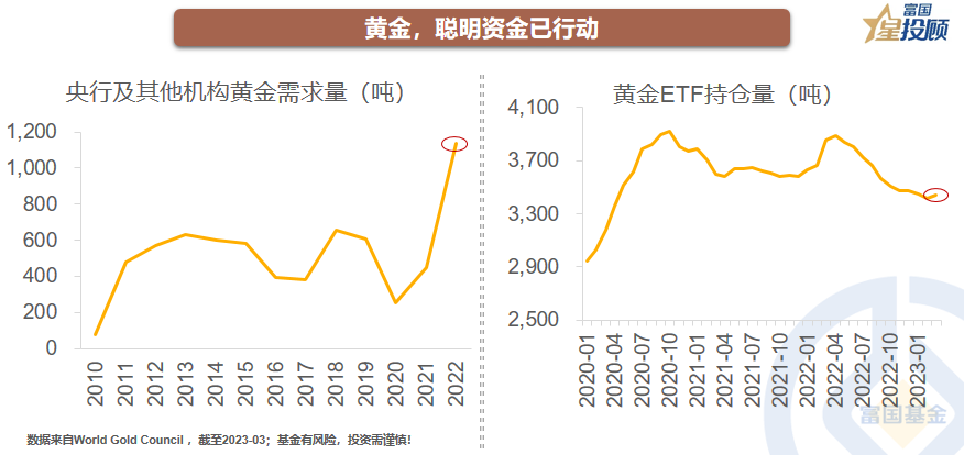 科技与黄金的完美结合，最新黄金买入时机分析，引领未来投资新潮流