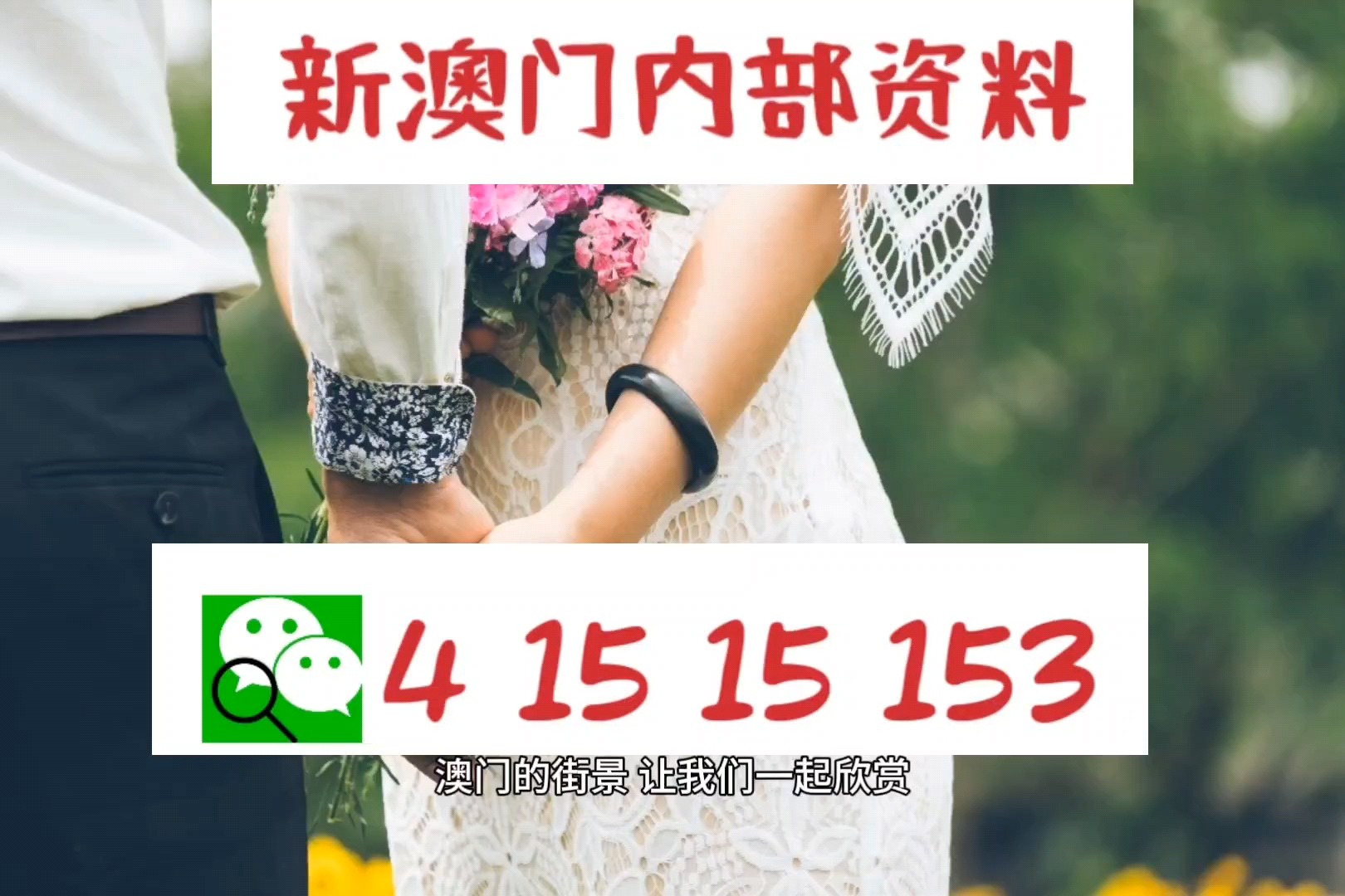 今晚澳门马出什么特马,学识执行解答解释_普遍版82.932