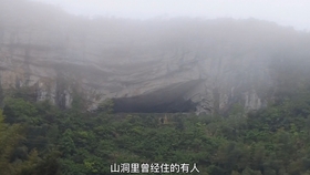 景区拦断国道收费引发争议，游客与景区的回应及现象解读