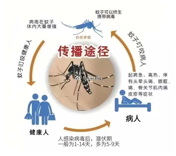 广东一周新增登革热病例达1770例，自然探索之旅成缓解担忧之选