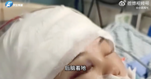 鲨鱼夹的冒险