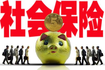 全面解析与洞察，最新社保缴费比例详解