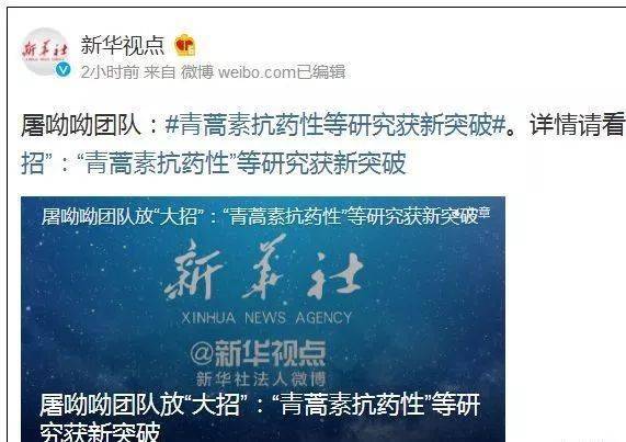篮球世界的璀璨明星