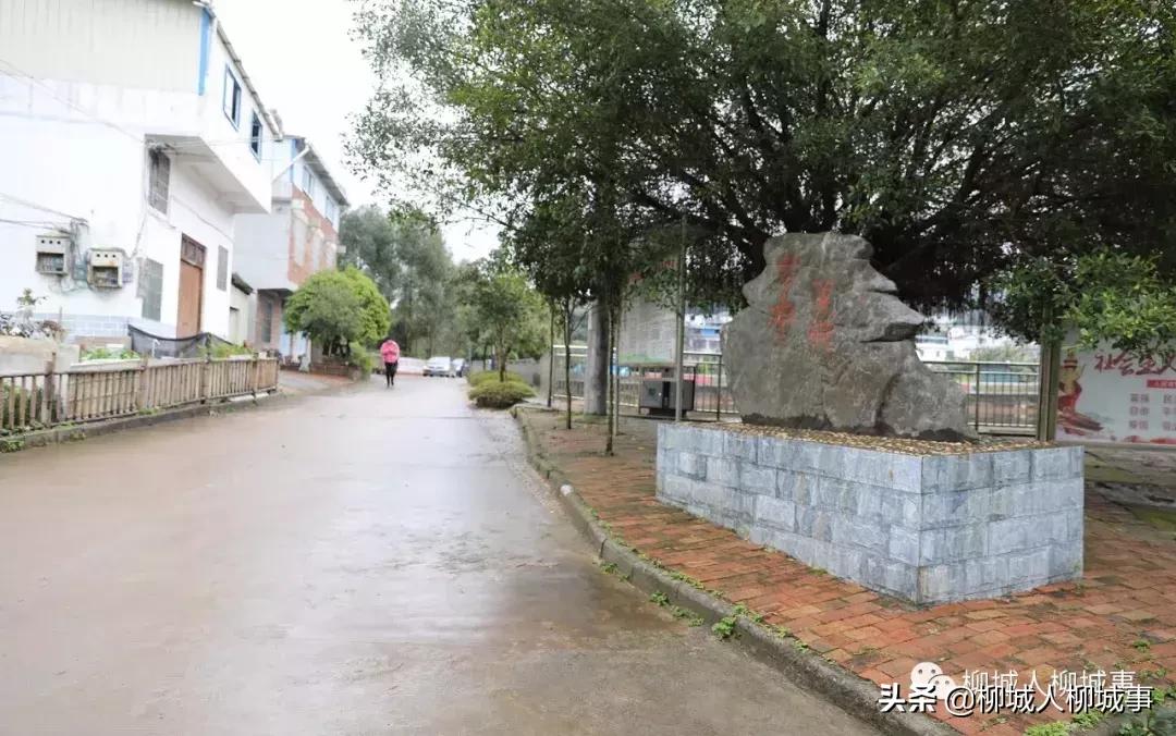 科技潮流体验重塑