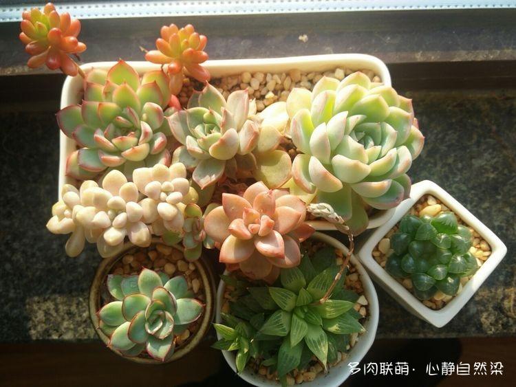 蜕变与自信成就之源