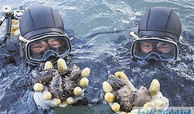 海缸引领变革