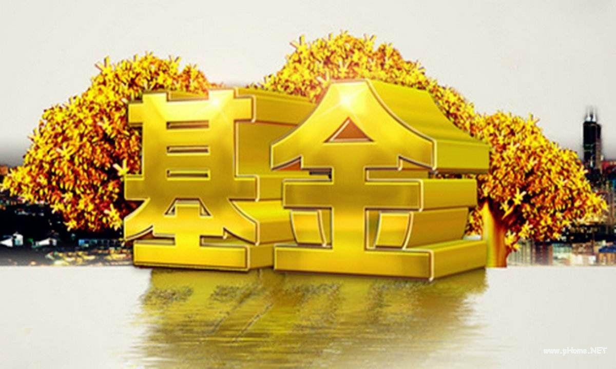 基金净值