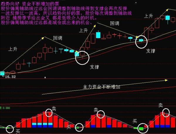 科技新星引领未来股市新潮流