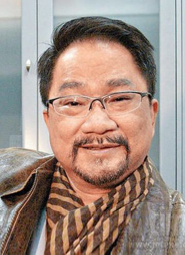 最新动态探讨与解析