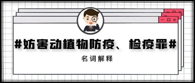 健康娱乐生活