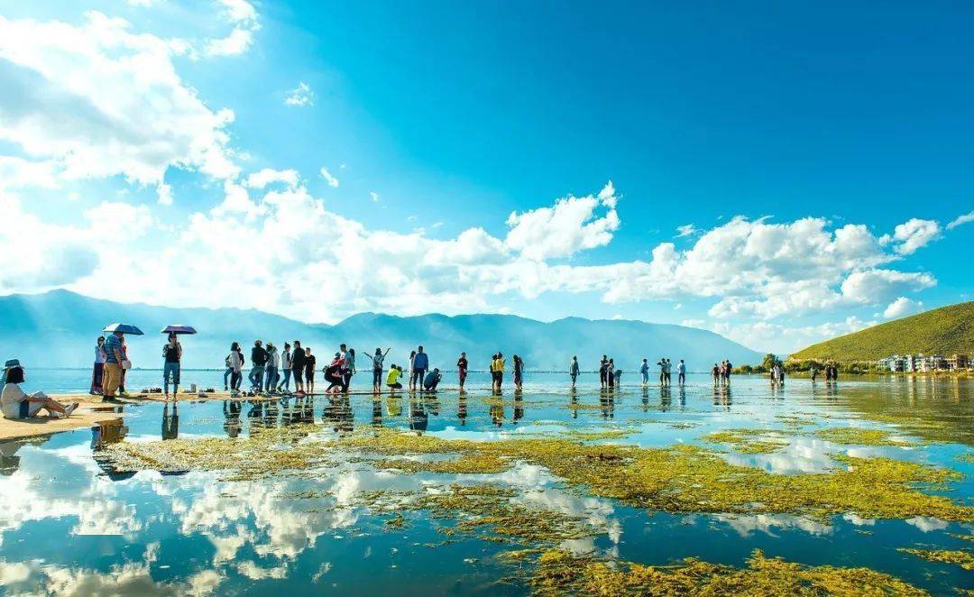 最最新养鱼,最最新养鱼，一场寻找内心平静的养鱼之旅