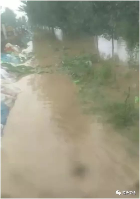 鹤壁跳河新篇章