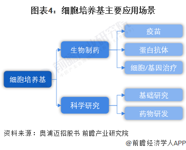 防守策略演变