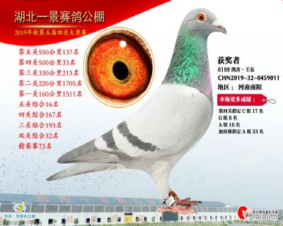 湖北一景公棚