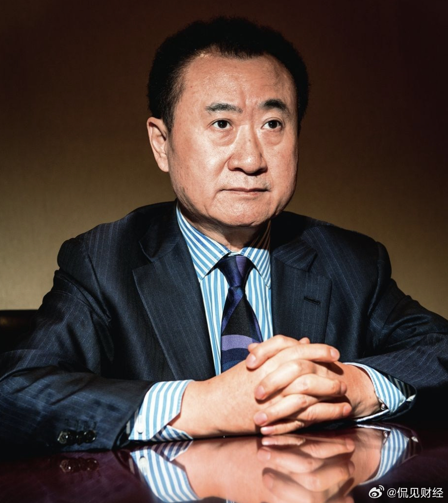 上市公司构建与影响解析