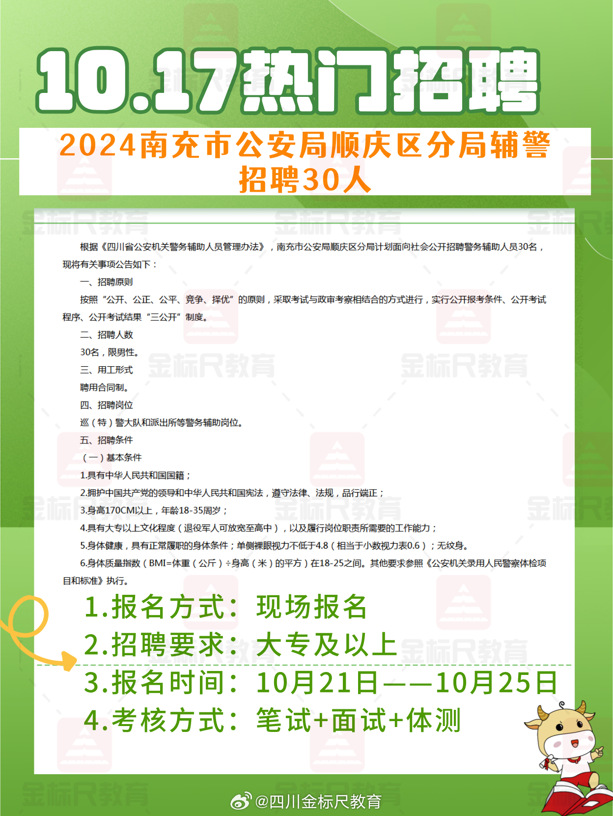 招聘综述与岗位概览