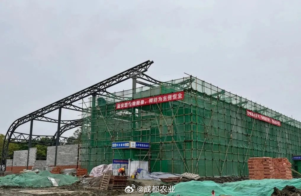 长橡棚改造