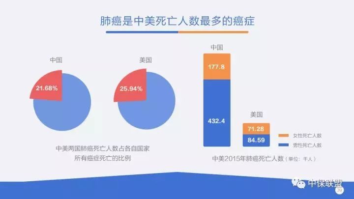 深度探析与观点阐述/发展趋势解析