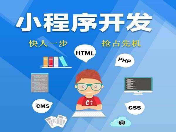 最新的小程序,最新的小程序，一种新兴技术的多维度探讨