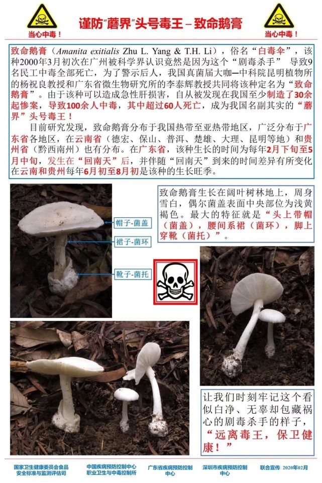 变形计最新一季