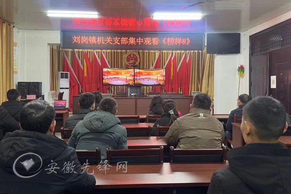 寿县刘岗镇最新消息,寿县刘岗镇最新消息，小巷深处的独特风味