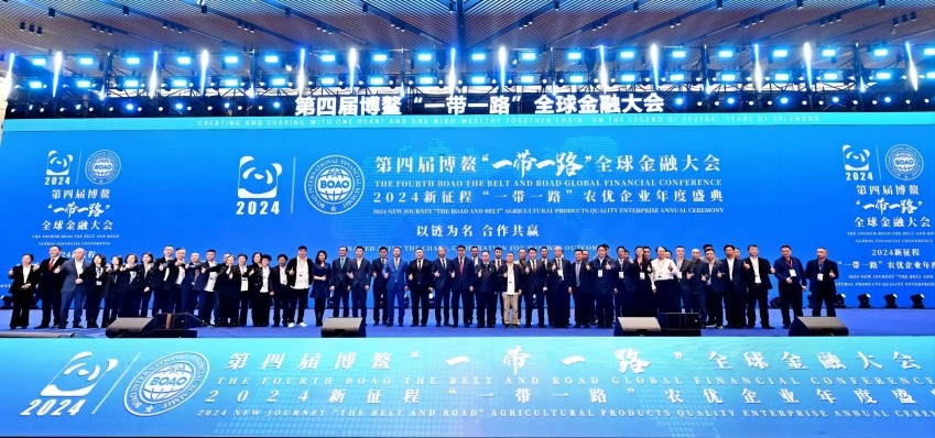 时代背景下的数字金融新篇章，最新荷包网探索与发现