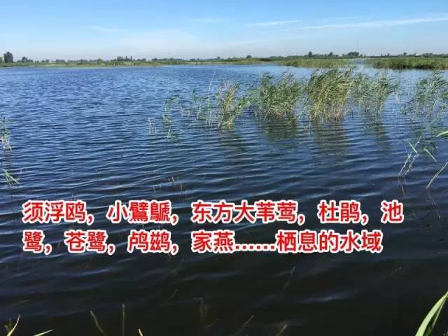 军创最新动态，探索自然美景的心灵之旅，远离尘嚣的返璞归真之旅