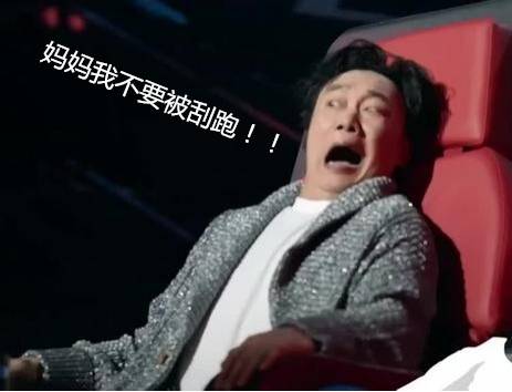 傅御笙江清洛最新章节，温馨日常的奇遇之旅