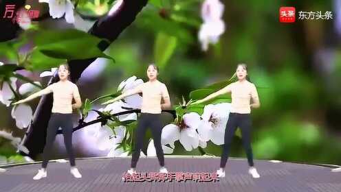 最新广场舞大家一起来，舞动生活的快乐节奏